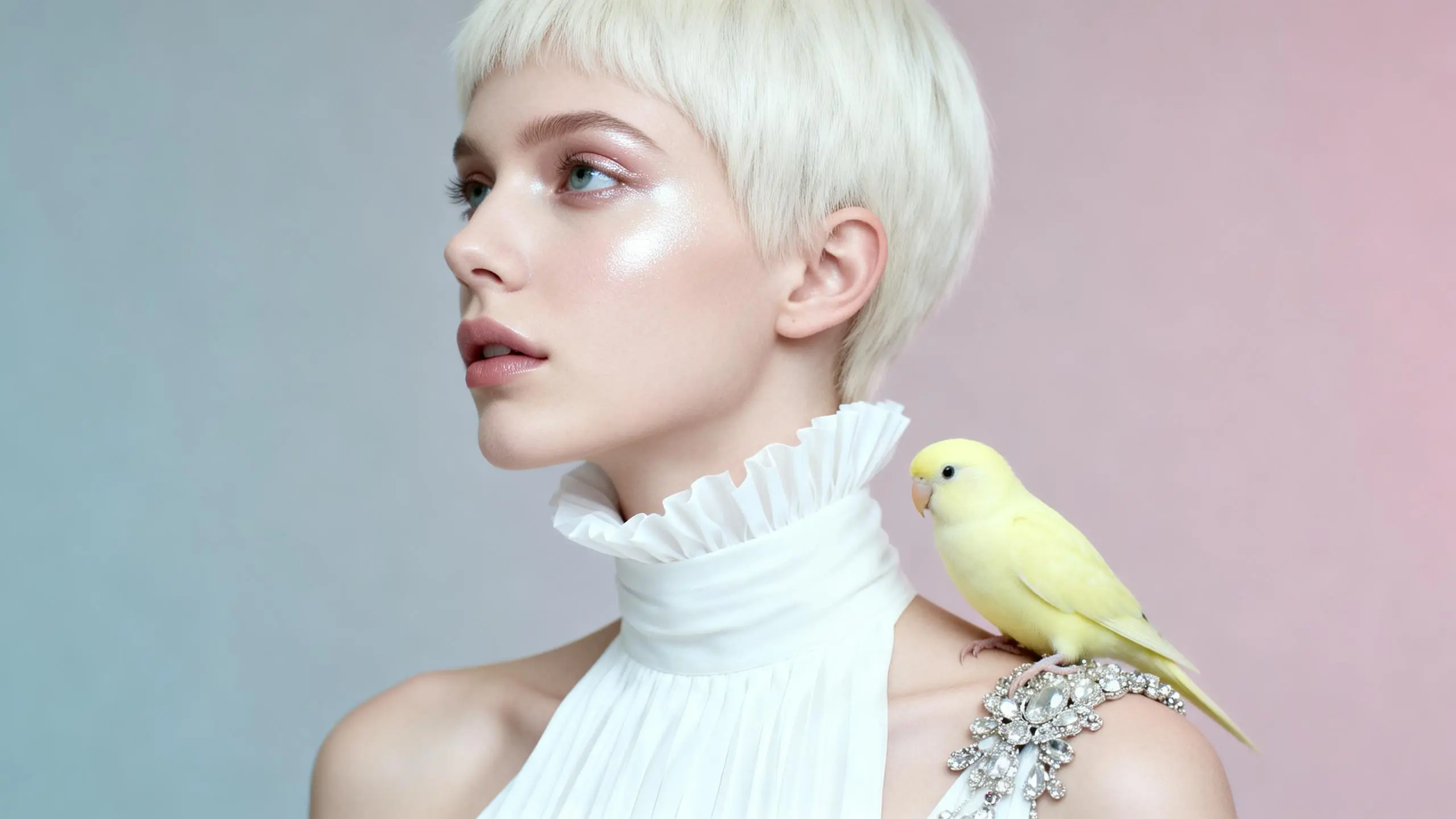 Digital content creation workspace for creators and showrunners